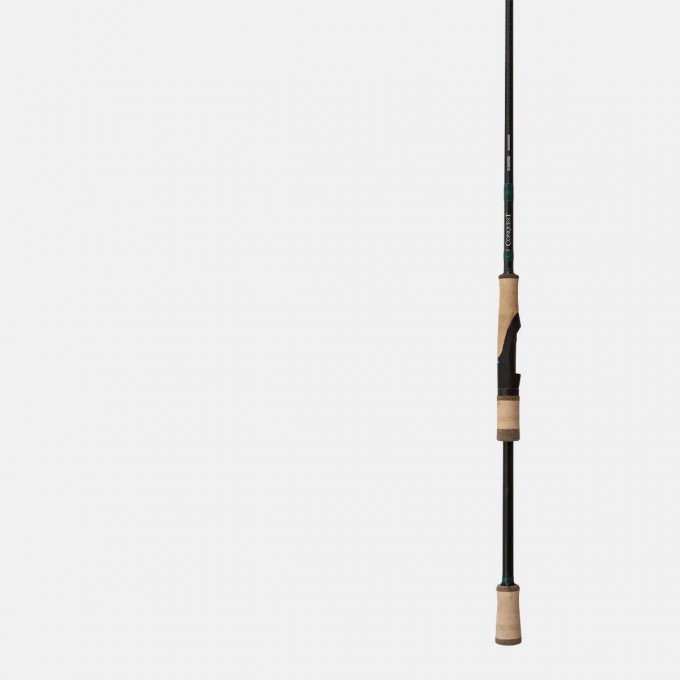 Print O Neck Women T Shirt Design